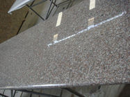 Đá Granite rắn màu nâu Chất liệu thô đá granite tự nhiên có độ bền cao