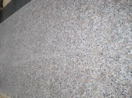 GranitE G383 Chất liệu Bianco Antico Granite Slab Xám Hoa Màu ngọc trai