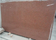 G402 Trung Quốc Red Granite Tianshan Red đánh bóng đá granite đỏ lát đá ốp lát