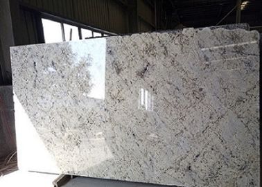 Tinh khiết trắng Galaxy đá tự nhiên tấm cho hộ gia đình cạnh tùy chọn