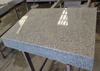 Gạch Granite trong nhà / ngoài trời, Gạch lát sàn lát đá granite màu xám nhạt
